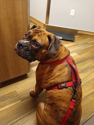 Cedar Valley Veterinary Center